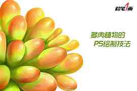 PS鼠绘小清新多肉植物插画教程