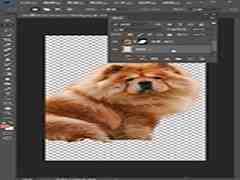 PS怎么抠狮子狗?