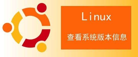 ubuntu系统怎么查看版本? Linux查看系统版本信息的技巧